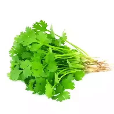 Coriander Leaves (Dhonia Pata) ± 10 gm 100 gm