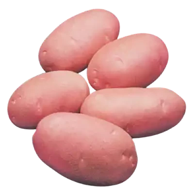 Lal Alu (Red Potato Cardinal) ± 50 gm 1 kg